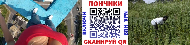 Где купить наркоту Мирный Псилоцибиновые грибы  Меф мяу мяу  Марихуана  hydra ONION  СК  COCAIN 