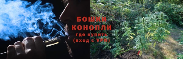 прущие крисы Армянск
